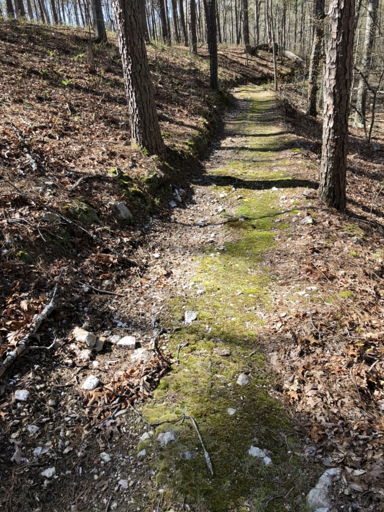 ozark trail