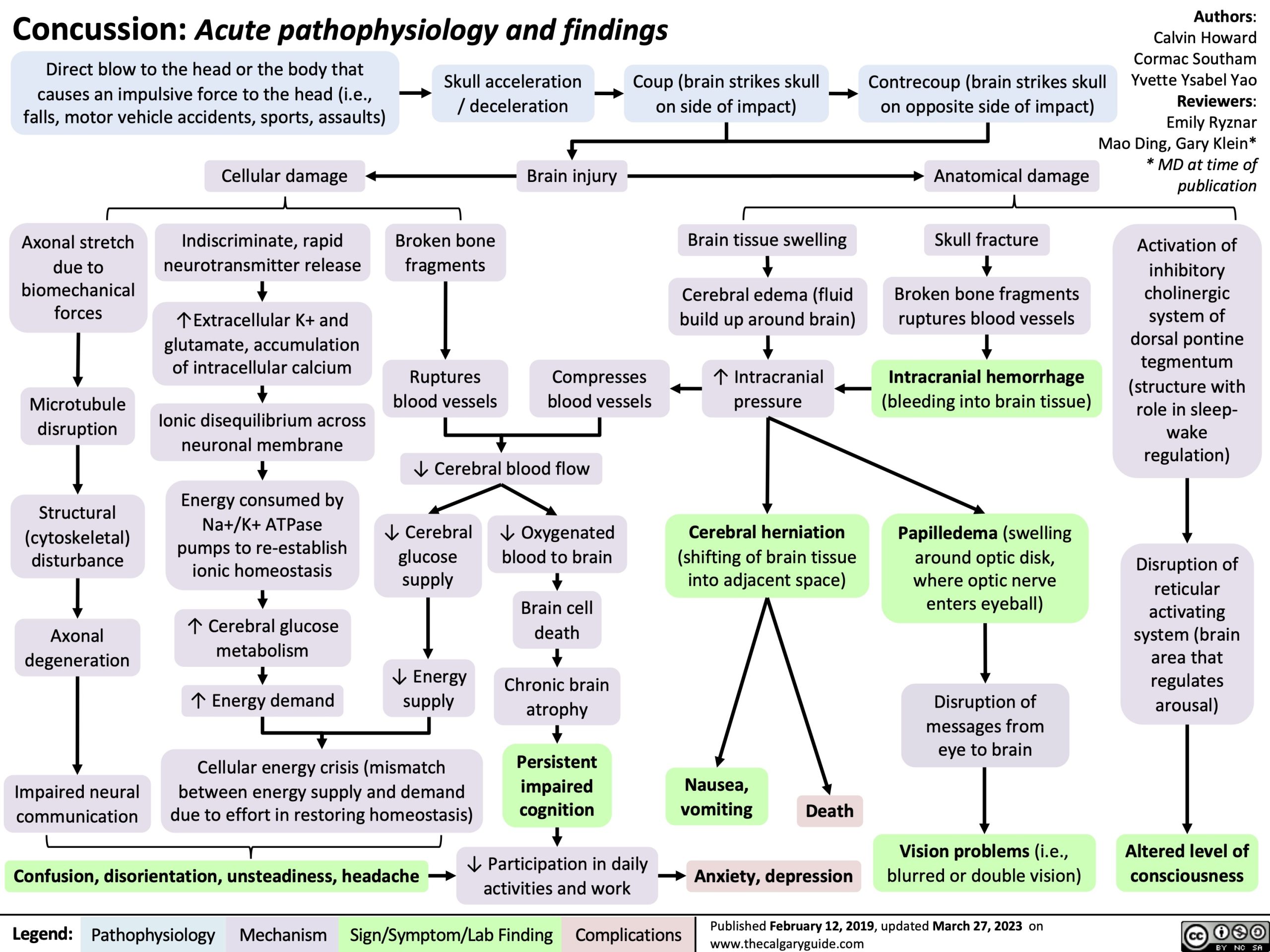 pathophysiology