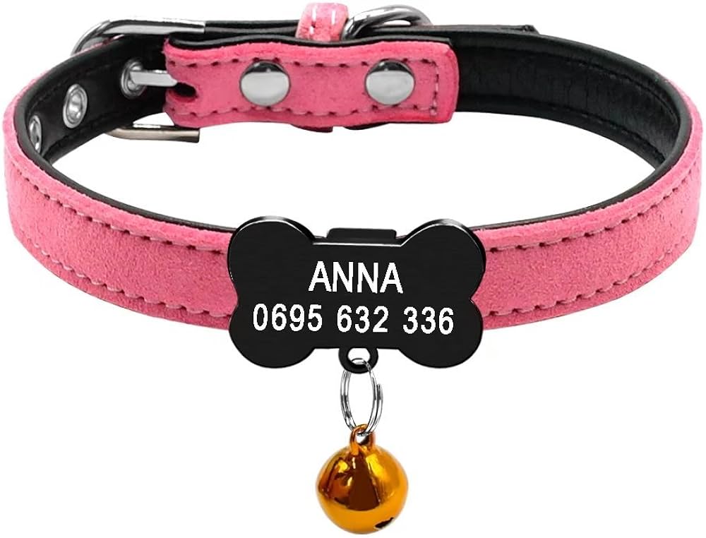 personalized puppy collars