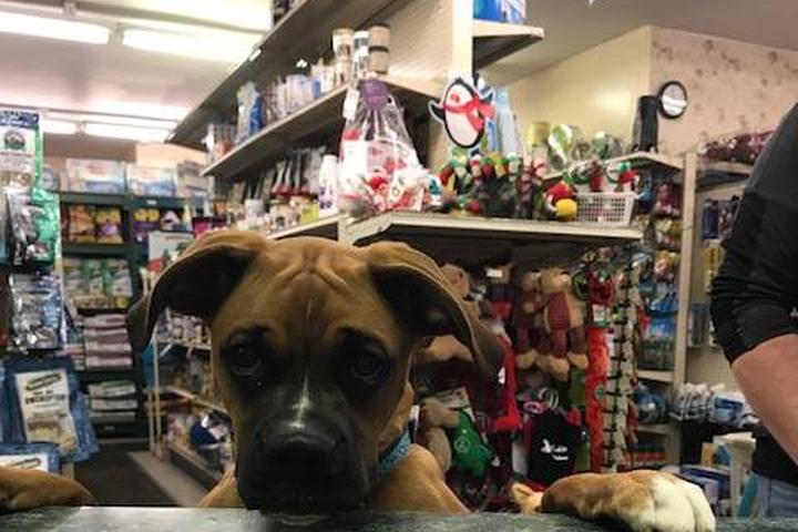 pet stores in lancaster pa