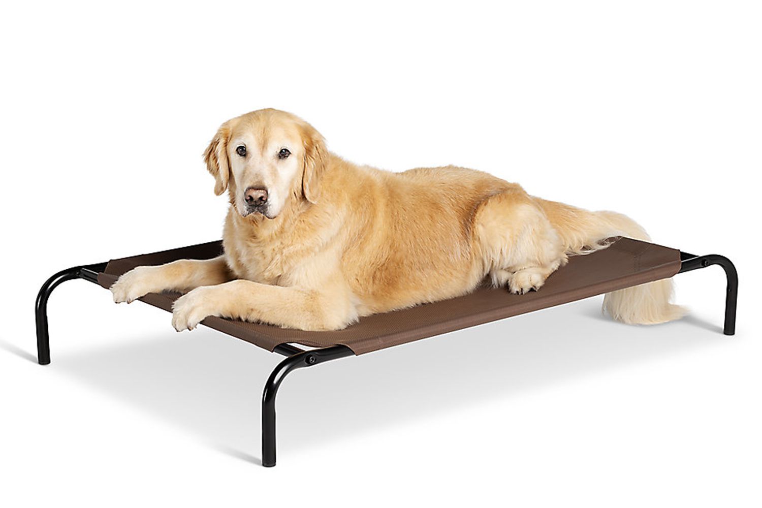 petsmart dog beds