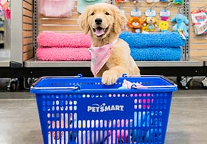 petsmart jobs