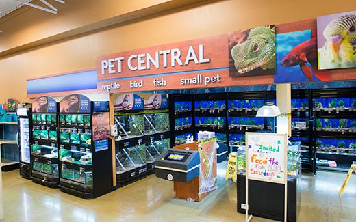 petsmart maple ridge