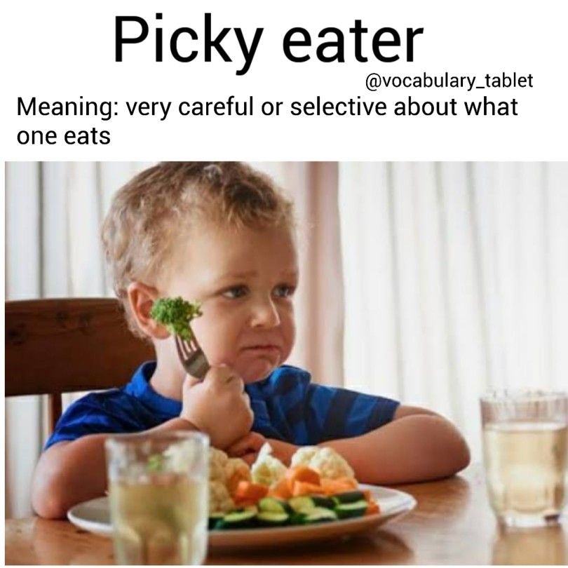 picky eater synonym