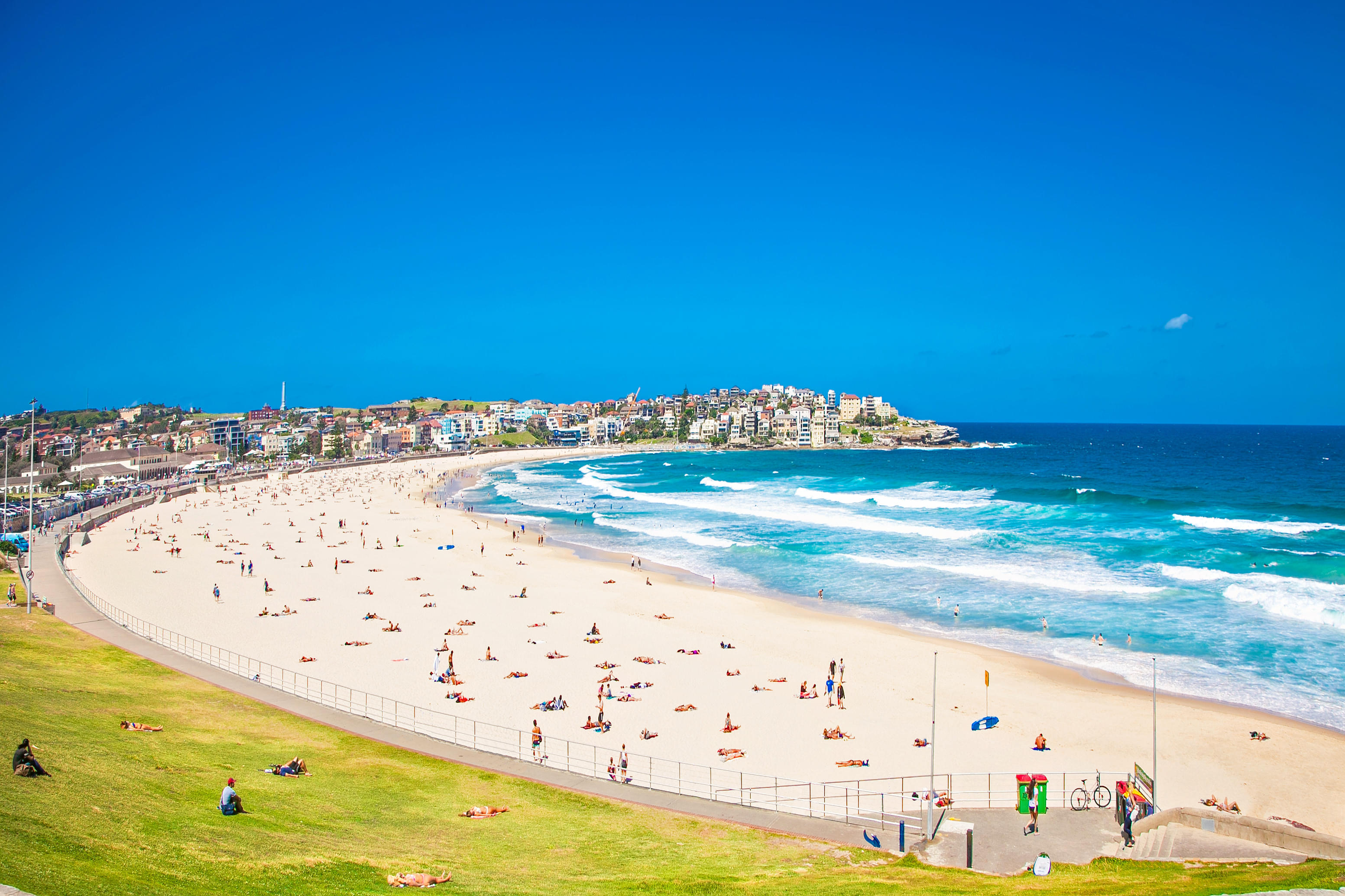 pictures of bondi