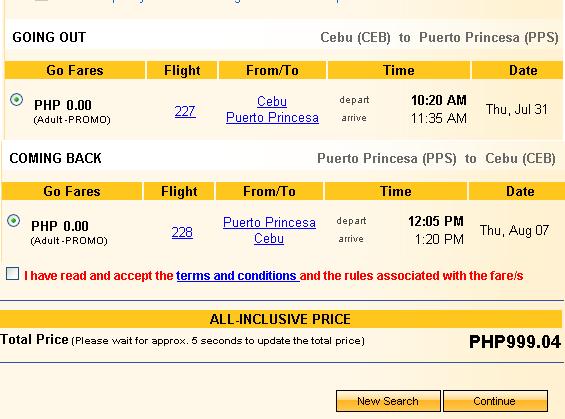 plane ticket to palawan