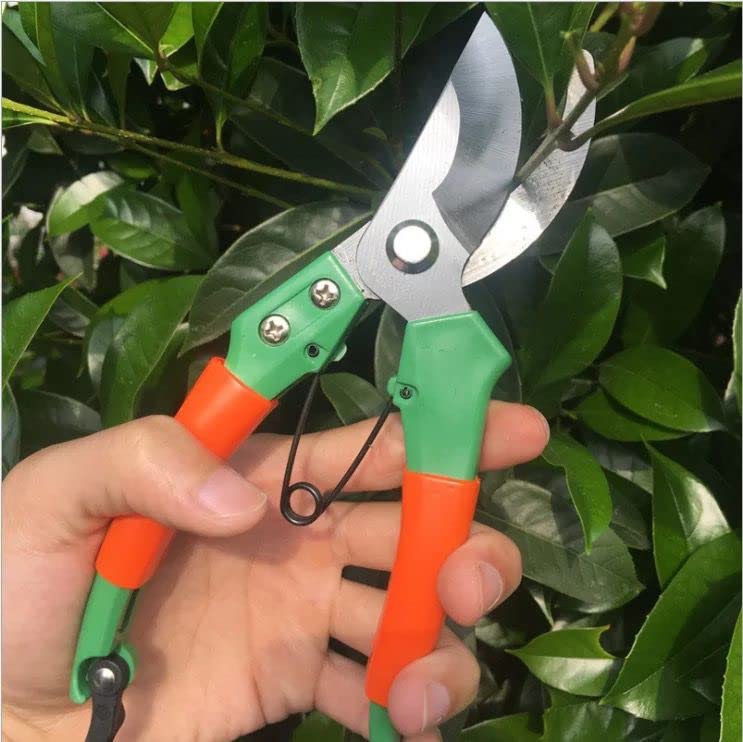 plant cutter price