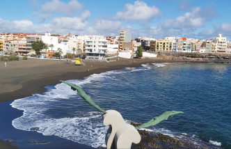 playa del hombre webcam