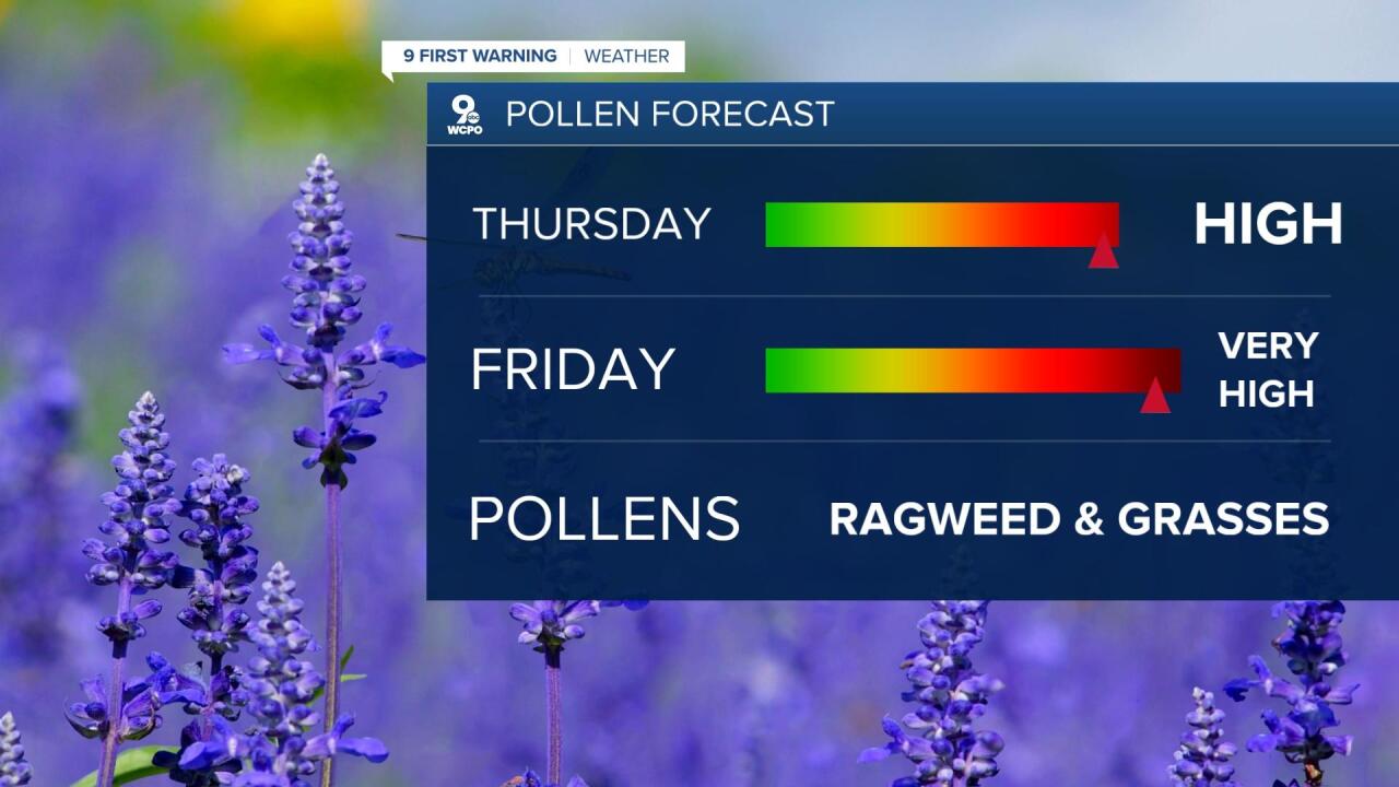 pollen count today cincinnati