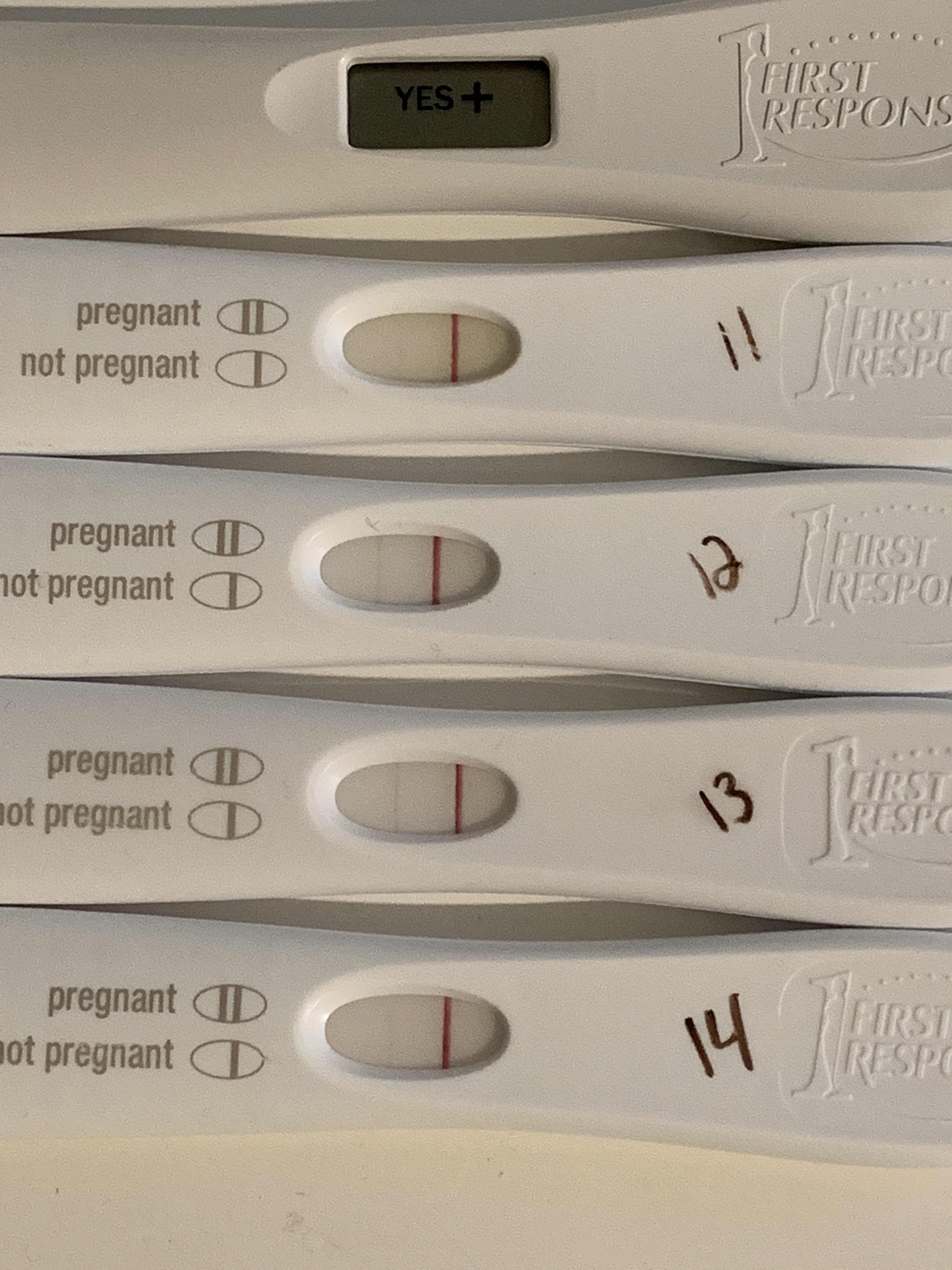 pregnancy test line not getting darker