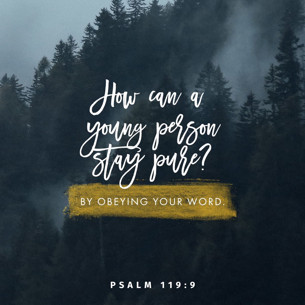 psalm 119 niv