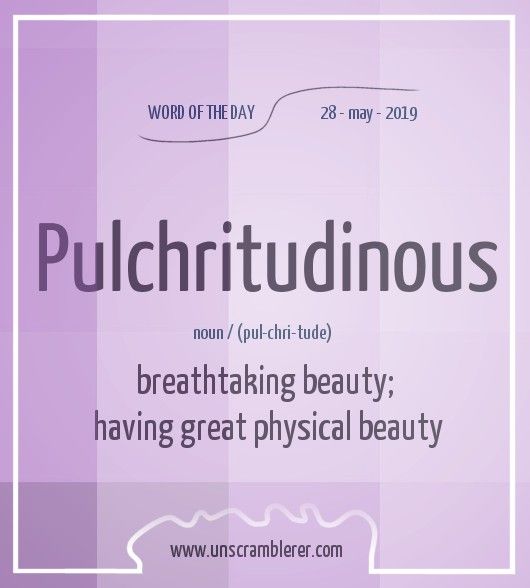 pulchritudinous synonym