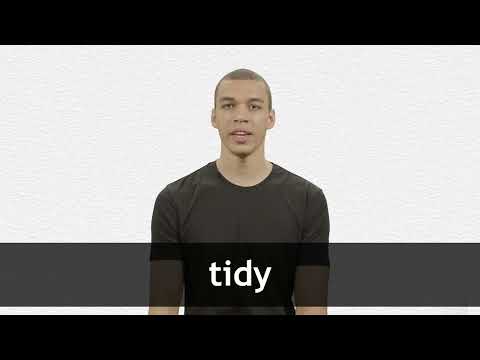 que significa en español tidy