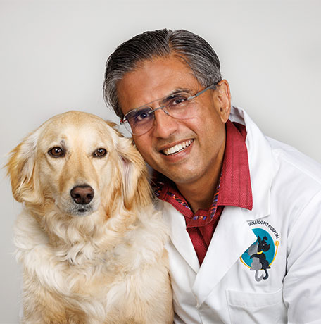 rancho bernardo veterinary clinic