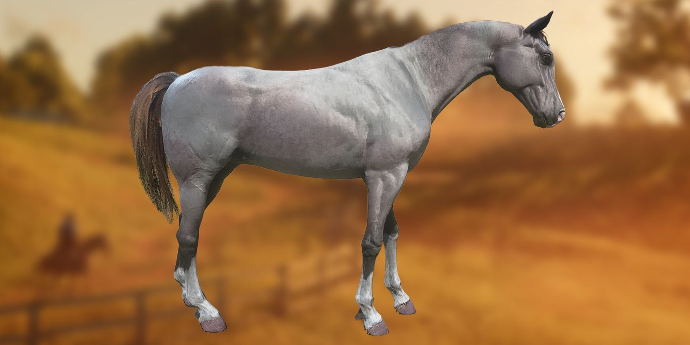 rdr2 fastest horse