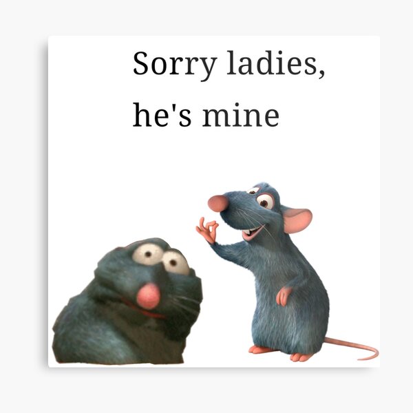 remy the rat memes