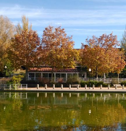 restaurante la laguna reseñas