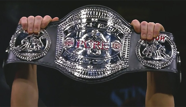 roh world title