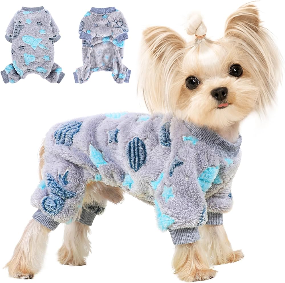 ropa para perritas invierno