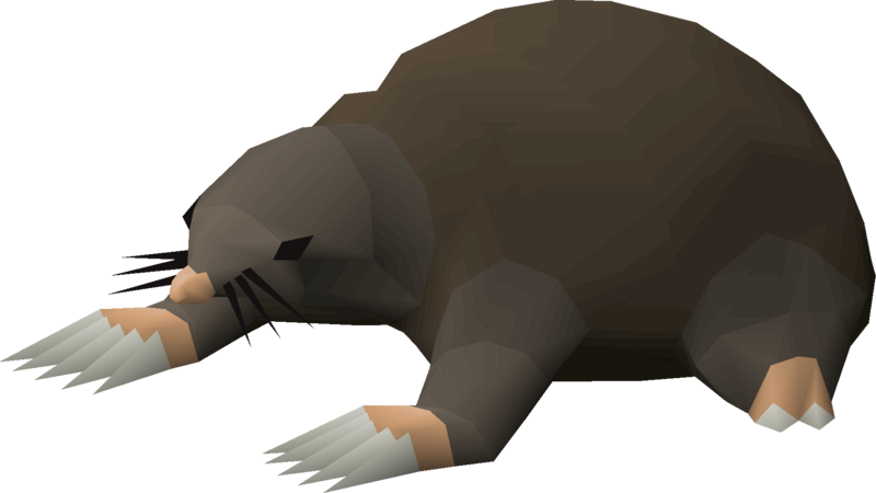 runescape giant mole location