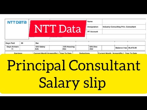 salary principal consultant