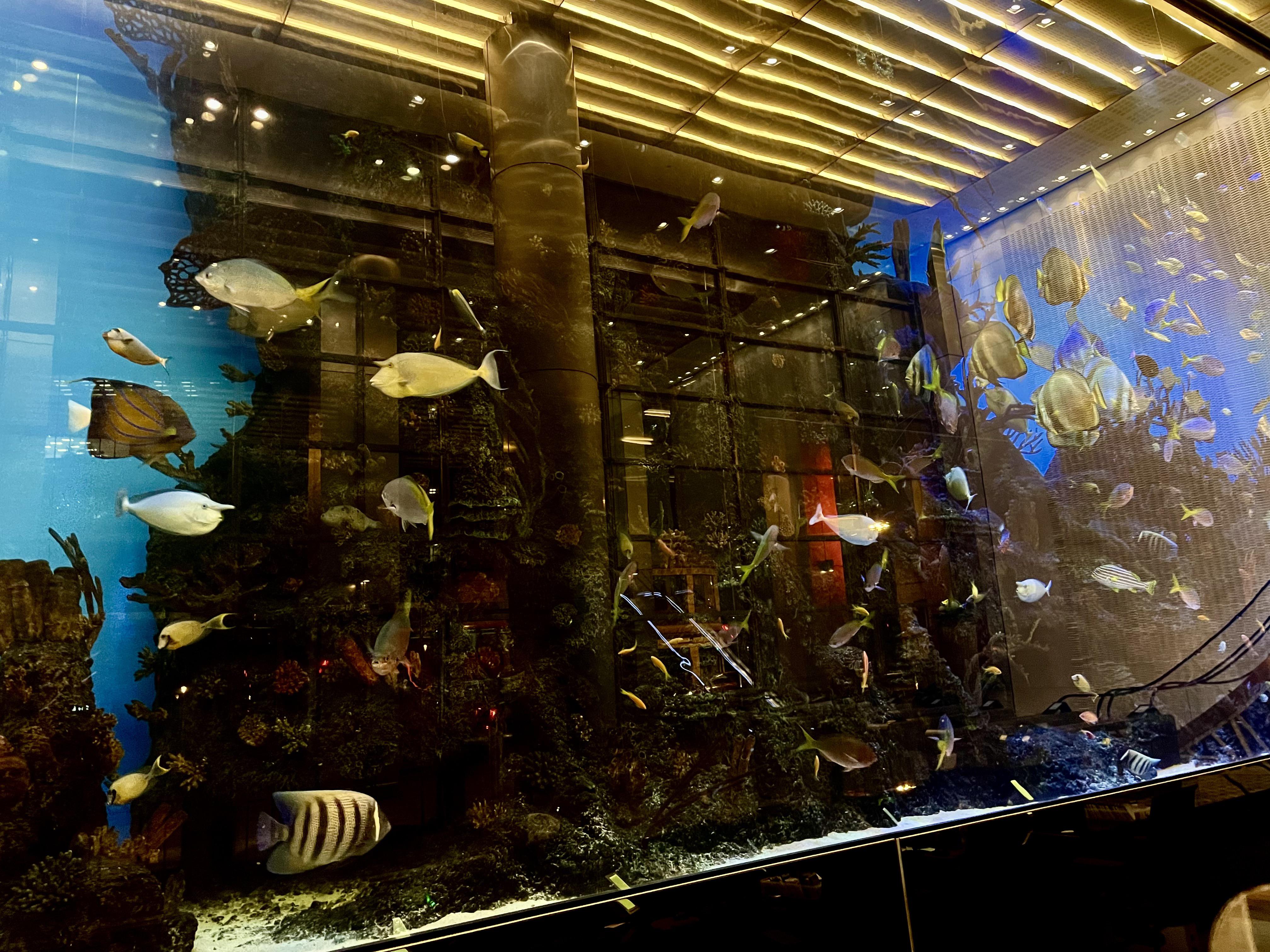 salesforce tower fish tank