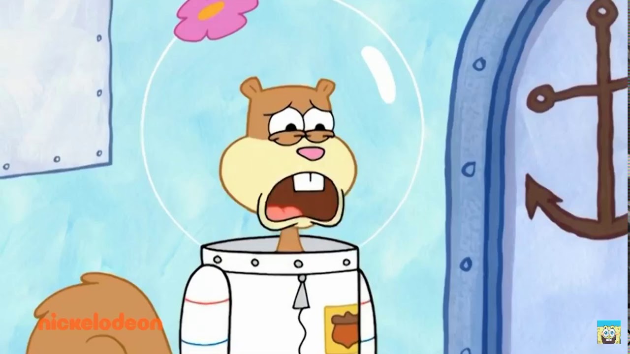 sandy cheeks crying