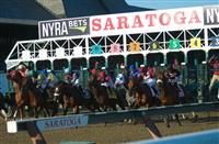 saratoga entries