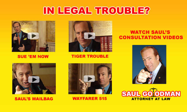 saul goodman site