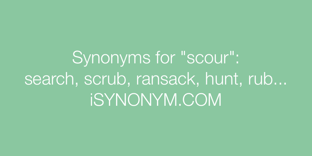 scour thesaurus