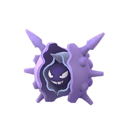 shiny cloyster