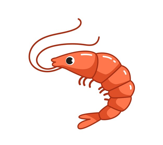 shrimp clipart