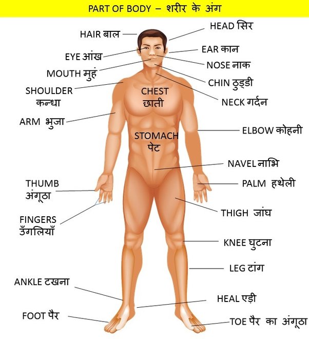 siapa meaning in hindi