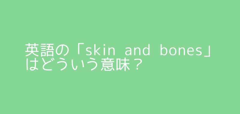 skin 意味