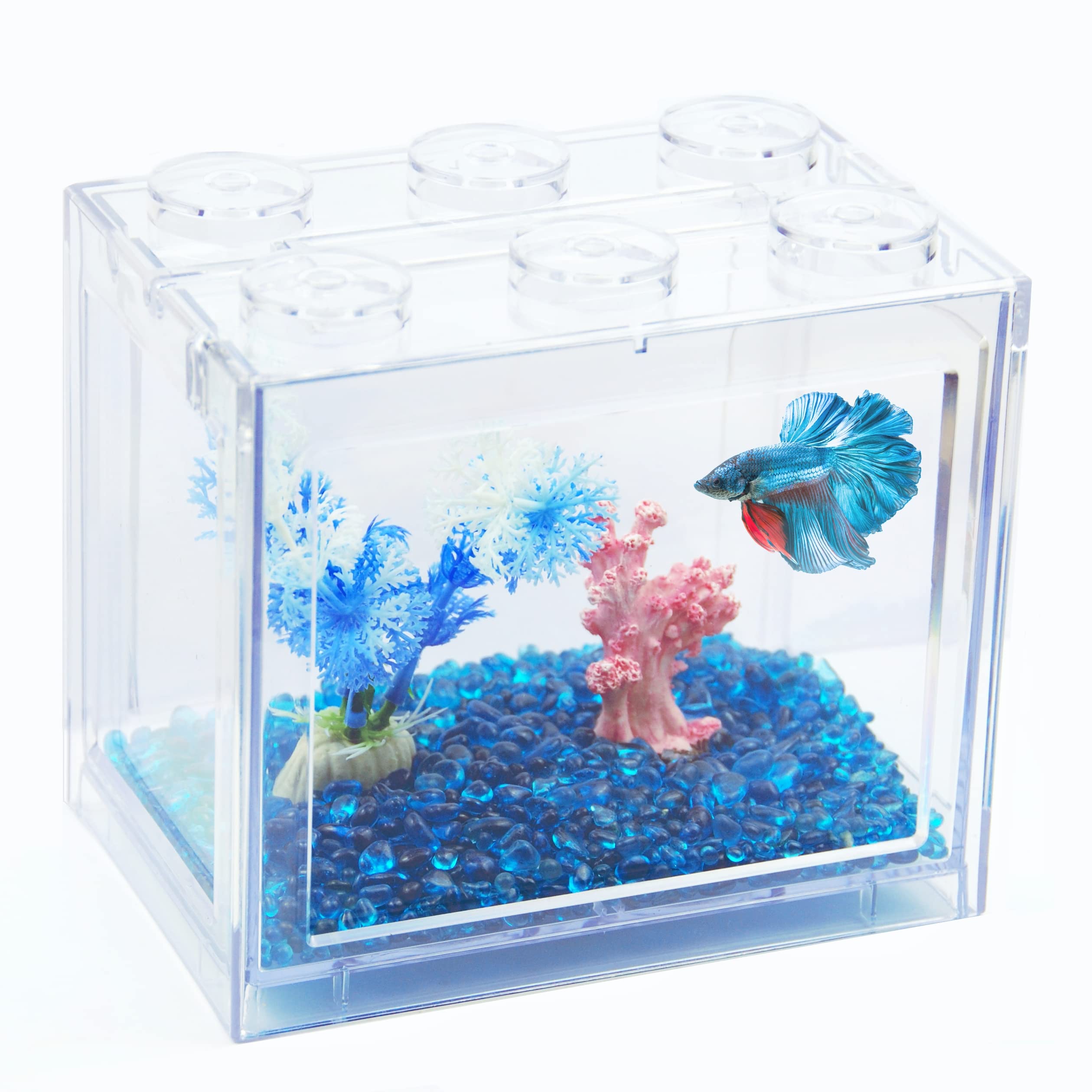 small fish tanks for sale