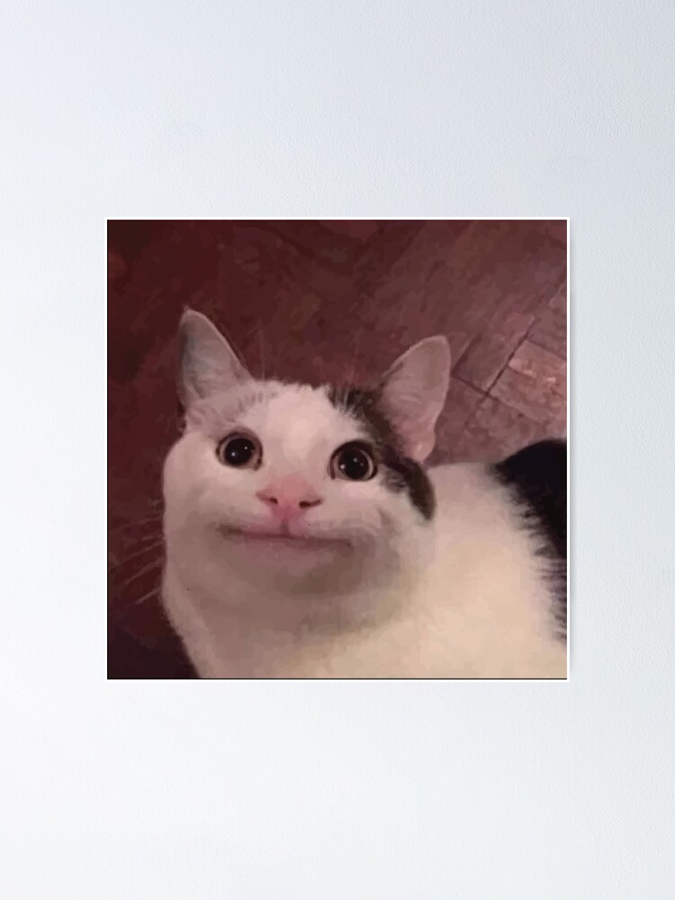 smiling cat meme