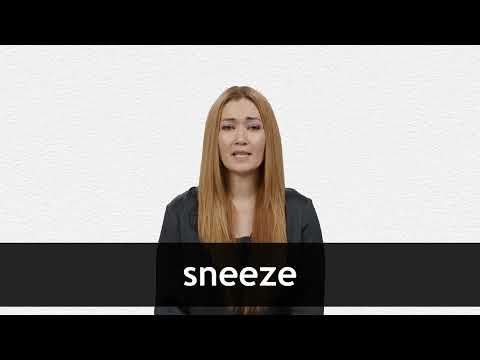 sneezes traduccion