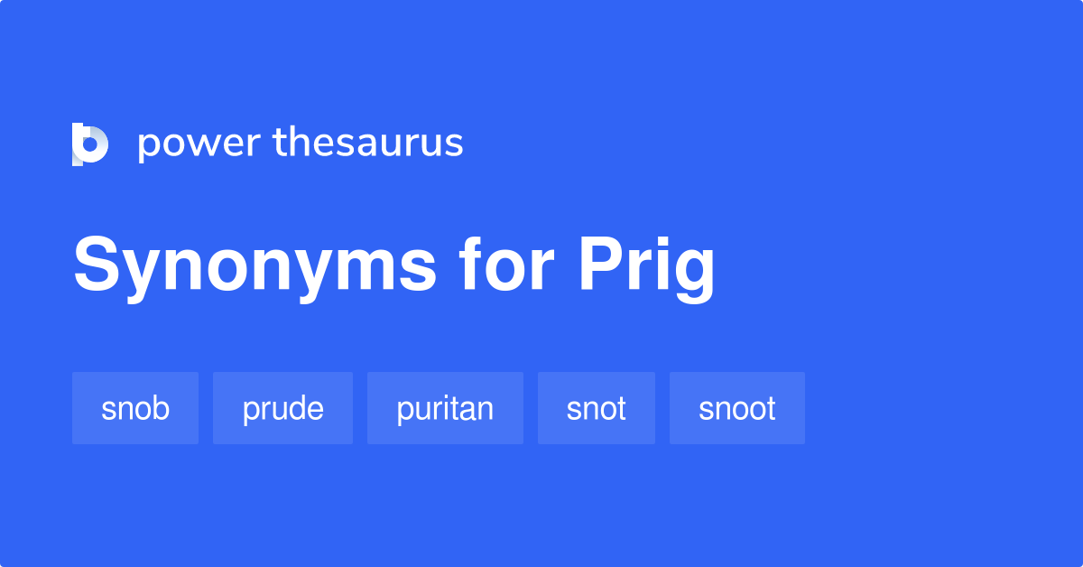 snobby thesaurus