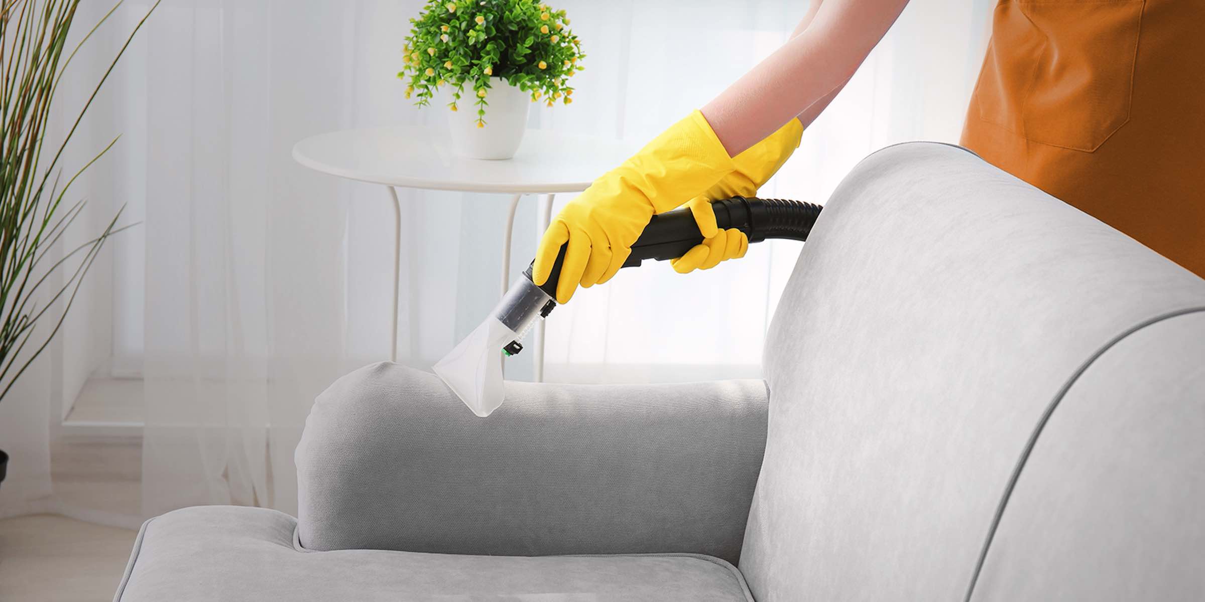 sofa cleaning services