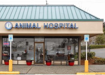 soundview veterinary hospital