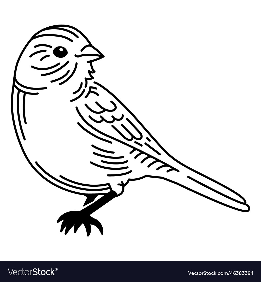 sparrow bird outline