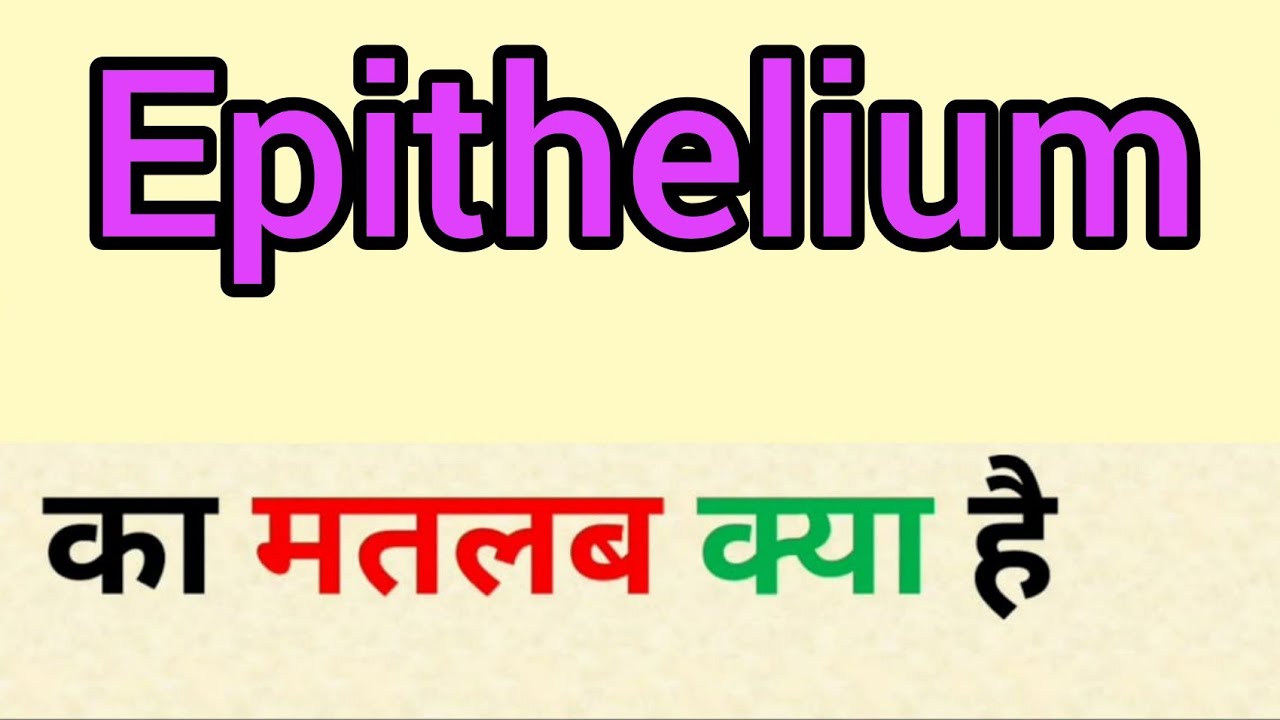 squamous epithelium meaning in hindi