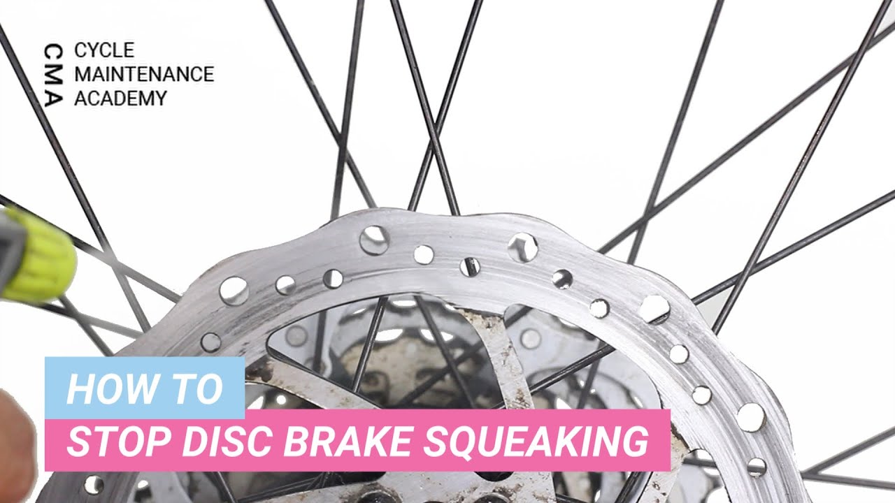 squeaky disc brakes bicycle