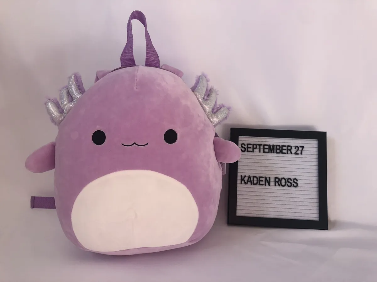 squishmallow bag