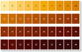 srm scale for beer color