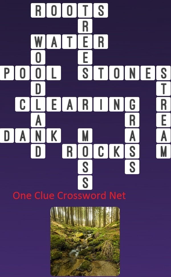 streamed crossword clue