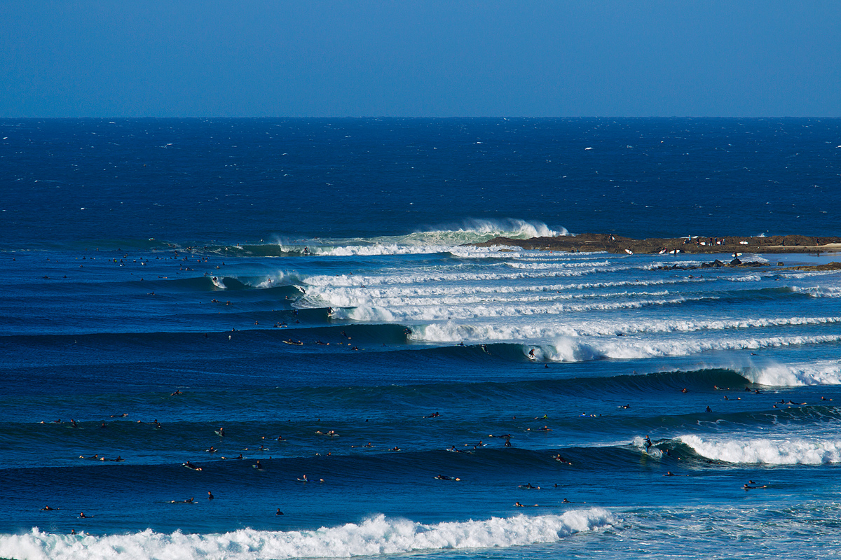 surfcam snapper