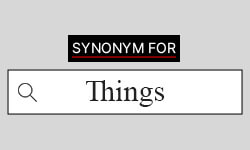 synonym things