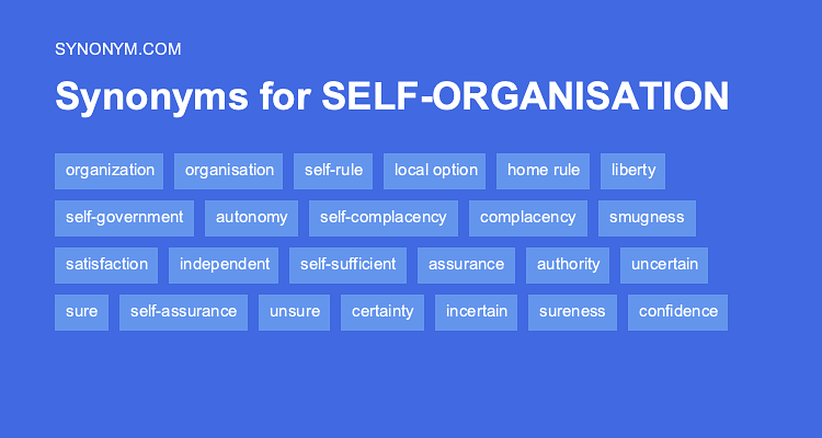 synonyms of organization