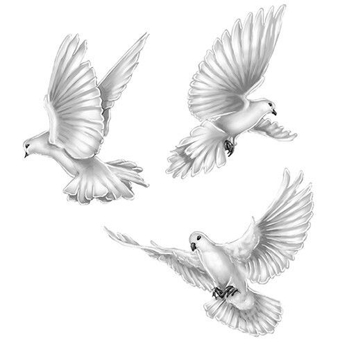 tattoo drawings of doves